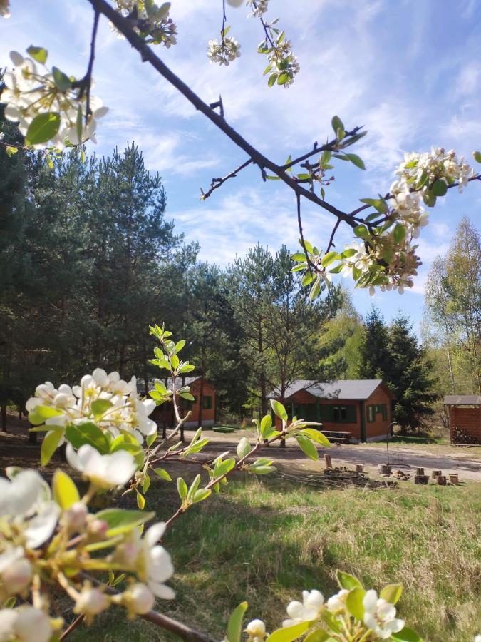Agroturystyka Oaza Ciszy I Spokoju Miedzychod Екстер'єр фото