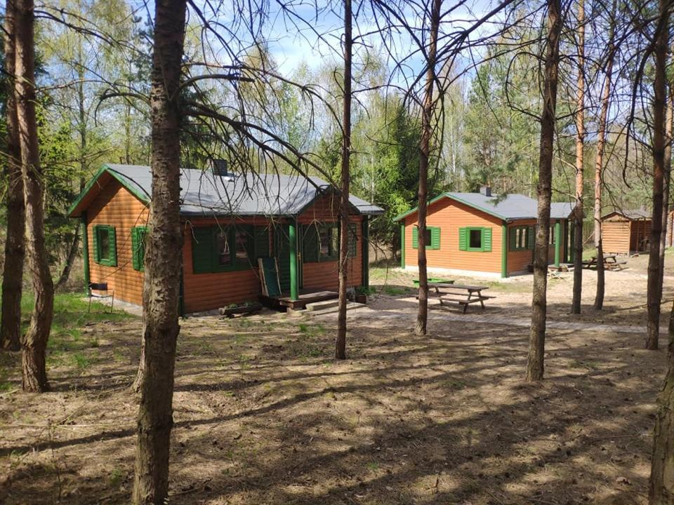 Agroturystyka Oaza Ciszy I Spokoju Miedzychod Екстер'єр фото